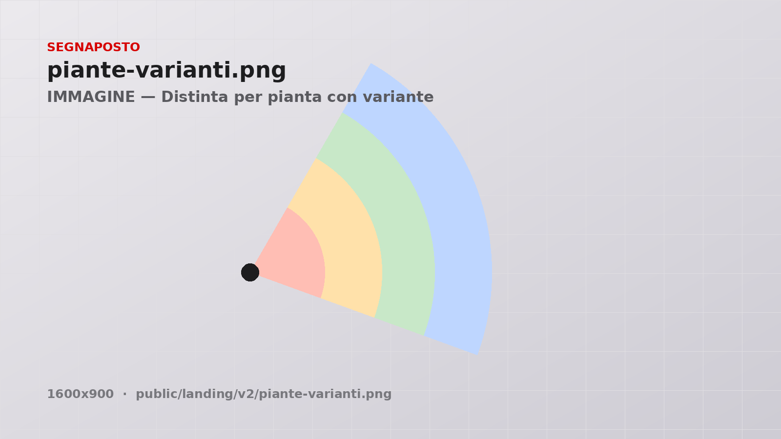 Distinta materiali divisa per pianta con una variante